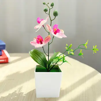 Красива орхидея phalaenopsis, фалшив бонсай, сватбена украса, изкуствен бонзай, екологично чисти декоративни